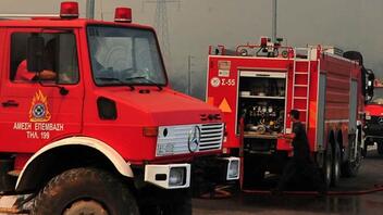 Έβρος: Υπό μερικό έλεγχο η πυρκαγιά κοντά στην Κορνοφωλιά