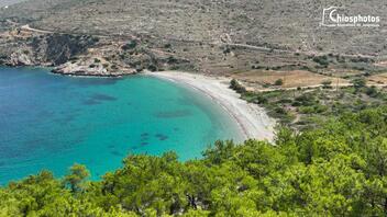 Χίος: Η παραλία με τα γαλαζοπράσινα νερά και τα πεύκα μέχρι της θάλασσα