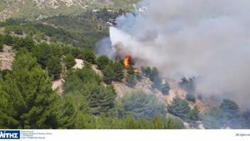 Περιορίστηκε η μεγάλη φωτιά στη Χίο