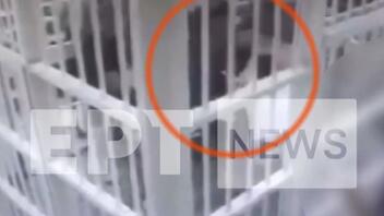 Φυλακές Κορυδαλλού: Βίντεο – ντοκουμέντο από τη φονική συμπλοκή