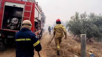 Φωτιά στην Αριάδα Αιτωλοακαρνανίας - Επιχειρούν εναέρια μέσα