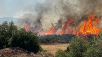 "Βαρύ" πρόστιμο και 3 συλλήψεις για την πυρκαγιά στον Δομοκό