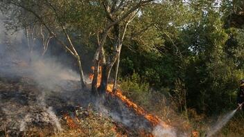 Λάρισα: Πυρκαγιά ξέσπασε στην περιοχή της Αγιάς