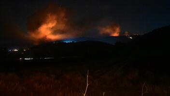 Φωτιά στην Εύβοια: Διάσπαρτες εστίες μετά από ολονύχτια μάχη με τις φλόγες