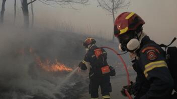 Πυρκαγιές: Εναέρια μέσα σε Ζάκυνθο και Δίστομο - Χωρίς ενεργό μέτωπο σε Σταμάτα και Κερατέα