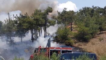 Πυρκαγιές: Χωρίς ενεργό στο όρος Πάικο Πέλλας - Σε εξέλιξη η φωτιά στο Φαλακρό Δράμας