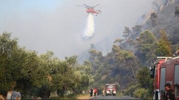 Πυρκαγιά σε δασική έκταση στις Πετριές Ευβοίας - Προειδοποιητικό μήνυμα του 112 στους κατοίκους