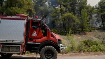 Πυρκαγιά σε αγροτοδασική έκταση στην Τανάγρα