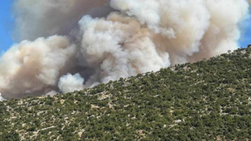 Μεγάλη πυρκαγιά στον Παλαμπά Θεσπρωτίας – Ήχησε το 112