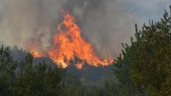 Μαίνεται η πυρκαγιά στην περιοχή Μεταξάδα Μεσσηνίας