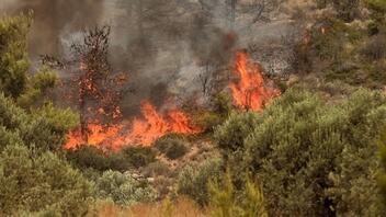 Φωτιά σε δασική έκταση στο Δαφνούδι Σερρών