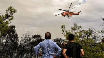 Φωτιά στην Αττική: Πού θα φιλοξενηθούν τα πυρόπληκτα ζώα