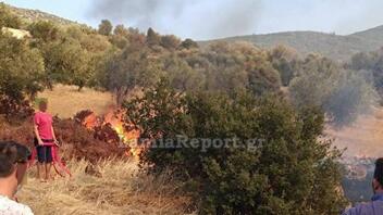 Νέα πυρκαγιά στη Λοκρίδα – Μεγάλη κινητοποίηση από γη και αέρα