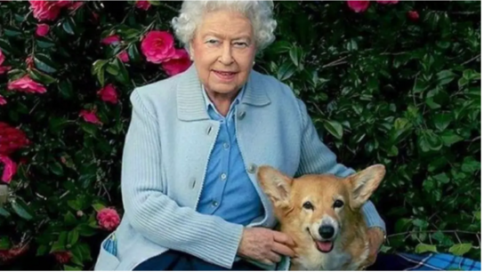 Βασίλισσα Ελισάβετ: Αγαπούσε τα σκυλιά κόργκι - Με παρέλαση θα την τιμήσουν οι ιδιοκτήτες τους 