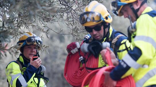 Δασική πυρκαγιά κινητοποίησε την Πυροσβεστική