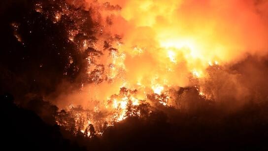 Εκκένωση περιοχών της Μερσίνης λόγω δασικής πυρκαγιάς