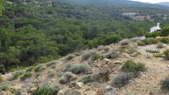 Μνημόνιο συνεννόησης για τη διατήρηση και προστασία της βιοποικιλότητας της Γαύδου