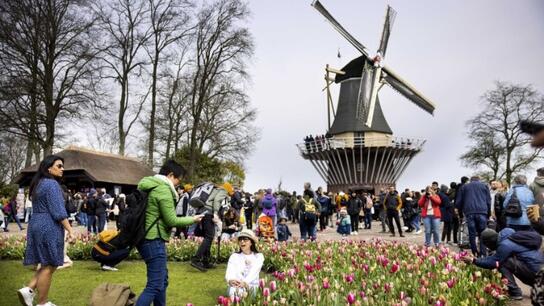 Ο μεγαλύτερος κήπος με τουλίπες στον κόσμο γιορτάζει τα 75α γενέθλιά του