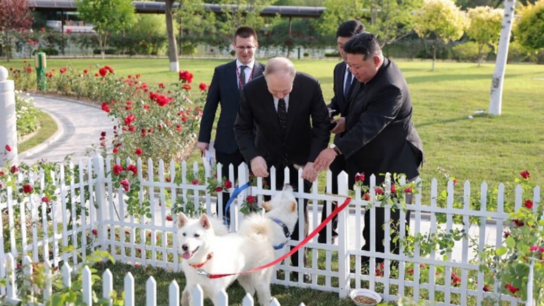 Ένα ζευγάρι σκύλους Πουνγκσάν χάρισε ο Κιμ Γιονγκ Ουν στον Πούτιν 