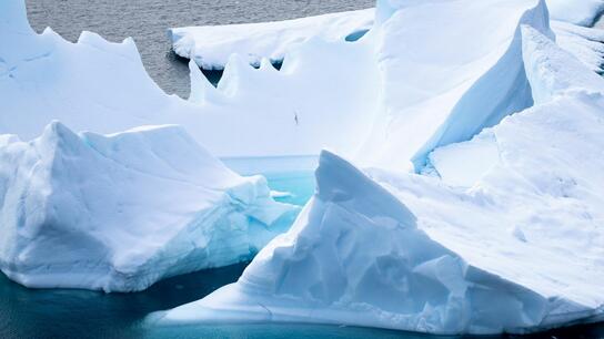 "Γιγάντιος" ιός εντοπίστηκε στη Γροιλανδία - Πώς επηρεάζει το λιώσιμο των πάγων