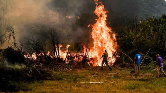 Στην Ηλεία το βασικό μέτωπο της φωτιάς - Μάχη με διάσπαρτες εστίες, αλλά βελτιωμένη εικόνα