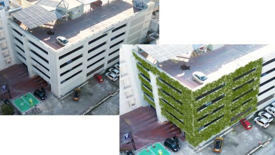 Χανιά: Πράσινος Τοίχος στο εξωτερικό Δημοτικού Σταθμού Αυτοκινήτων
