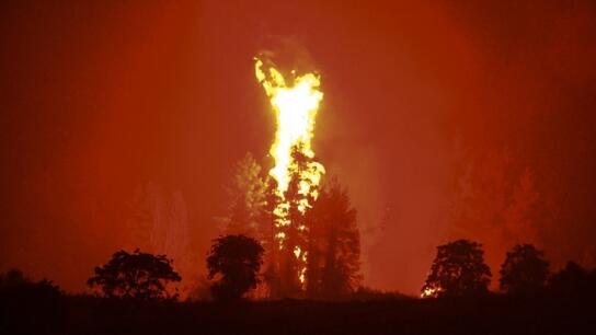 Κεραυνοί προκάλεσαν δύο δασικές πυρκαγιές στη Θάσο