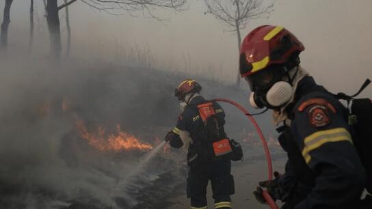 Χωρίς ενεργό μέτωπο η φωτιά στον Λαγκαδά Θεσσαλονίκης