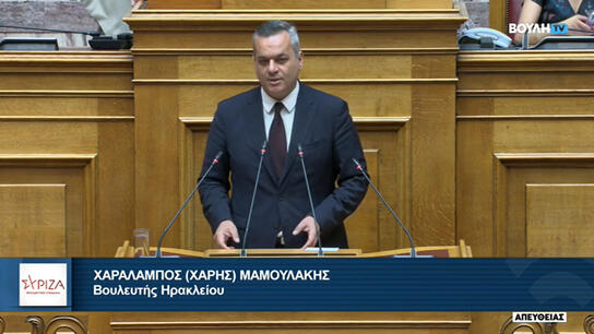 Χάρης Μαμουλάκης: «Το κυβερνητικό επιτελείο της ΝΔ αφήνει τις τράπεζες να ασκούν τιμολογιακή πολιτική εις βάρος των πολιτών»