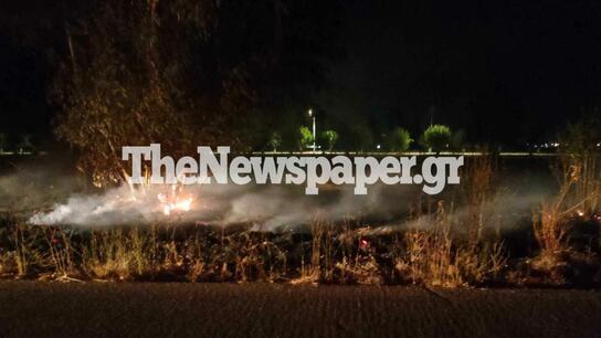 Φωτιά στο δάσος Κουρί – Ολονύχτια μάχη των πυροσβεστών