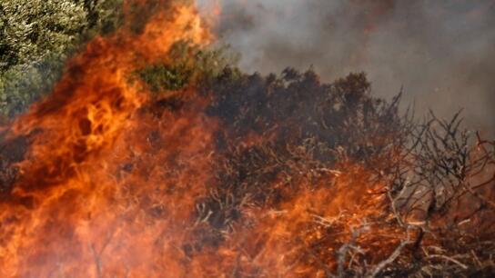 Συνελήφθη μια ηλικιωμένη για πρόκληση πυρκαγιών από πρόθεση και κατ' εξακολούθηση