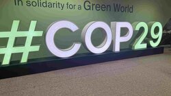 ΔΕΗ, COP29