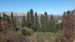 Δήμος Σητείας, Πρόγραμμα Oasis