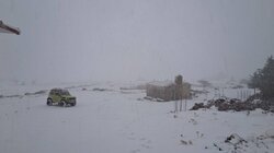 Χιόνια, Βιάννος