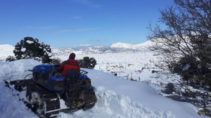 Κτηνοτρόφοι Λασιθίου: Έκκληση να ανοίξουν οι δρόμοι - Τί απαντά ο Δήμαρχος 