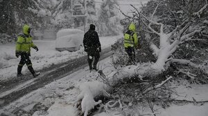 Σε Μαραθώνα και Κορωπί παραμένουν τα προβλήματα ηλεκτροδότησης