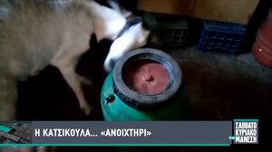 Η πανέξυπνη κατσίκα που ... ανοίγει βαρέλια!