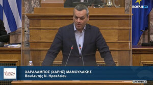 Χ. Μαμουλάκης: "Νόμος - τερατούργημα από την ΝΔ"