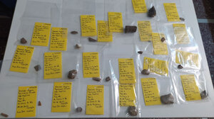 Στο φως προϊστορικός οικισμός στη Νιγρίτα