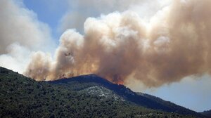 Καταστροφικός ο καπνός από τις δασικές πυρκαγιές για το όζον της στρατόσφαιρας