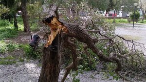 Τα 12 μποφόρ έφτασε ο Νοτιάς στη ΒΑ Λέσβο 