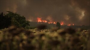 Zάκυνθος: Ανεξέλεγκτες δύο πυρκαγιές που ξέσπασαν με διαφορά μιας ώρας σε δάση