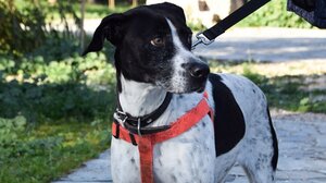 Δηλώνουν μεθυσμένοι μετά την κτηνωδία που προκάλεσε κατακραυγή!