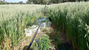 Η αστυνομική επιχείρηση... "χάλασε" τη δουλειά