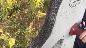 Τι Τσέρνομπιλ, τι Καλλιθέα; Εικόνες από παιδική χαρά... της θλίψης