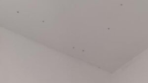 Σκνίπες κάνουν πάρτι στο Γιόφυρο!