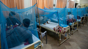 Επιδημία δάγκειου πυρετού στην Ακτή Ελεφαντοστού