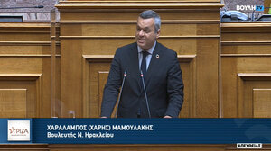 Χ.Μαμουλάκης: Η κλιματική κρίση και η ανεπάρκεια Μητσοτάκη