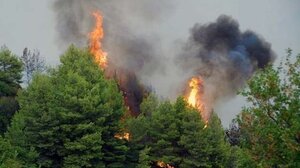 Πυρκαγιά σε δασική έκταση στους πρόποδες του Ποικίλου όρους