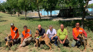 Εκπαιδευμένα λυκόσκυλα θα περιπολούν για φόλες σε προστατευόμενες περιοχές της Ελλάδας